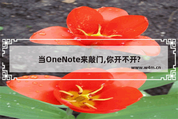 当OneNote来敲门,你开不开?