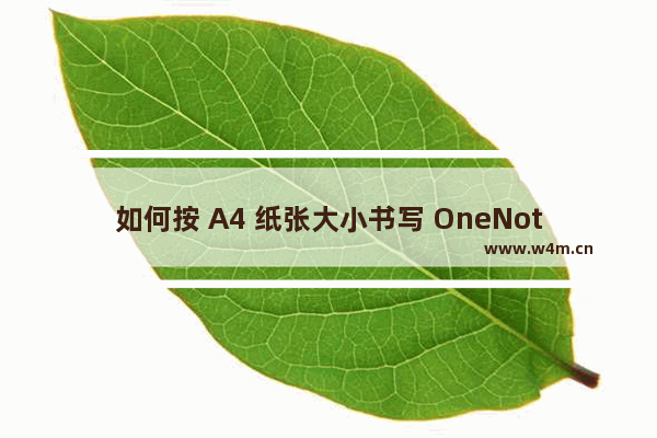 如何按 A4 纸张大小书写 OneNote 笔记？