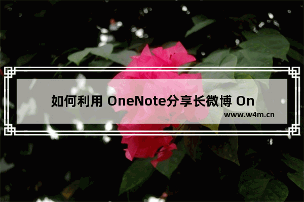 如何利用 OneNote分享长微博 OneNote 分享长微博实践教程