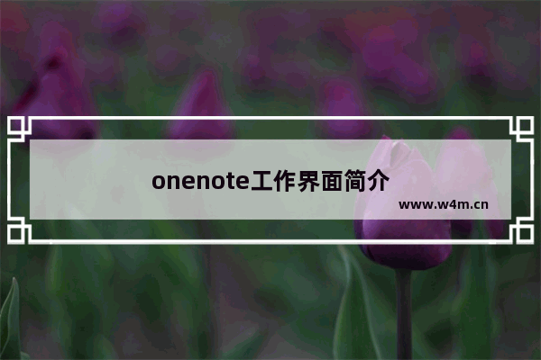 onenote工作界面简介