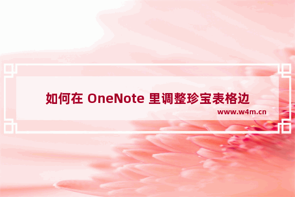 如何在 OneNote 里调整珍宝表格边框颜色，实现多彩绚丽的表格边框