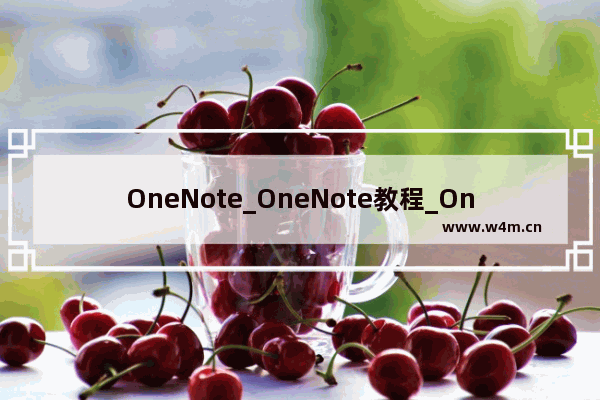 OneNote_OneNote教程_OneNote内置样式