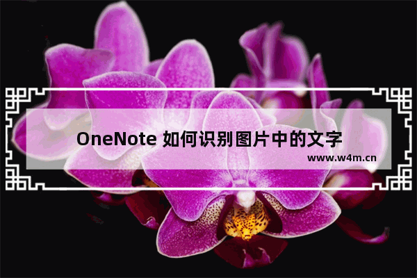 OneNote 如何识别图片中的文字