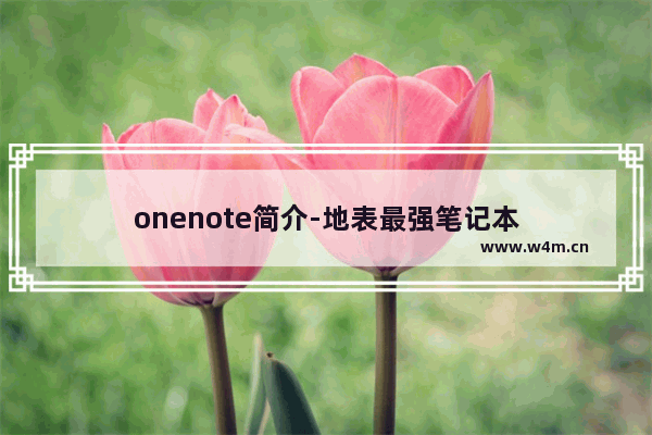 onenote简介-地表最强笔记本