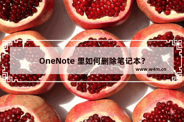 OneNote 里如何删除笔记本？