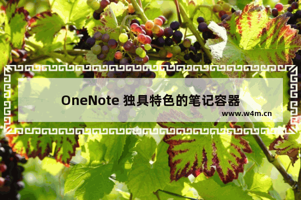 OneNote 独具特色的笔记容器