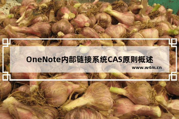 OneNote内部链接系统CAS原则概述