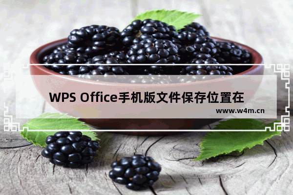 WPS Office手机版文件保存位置在哪