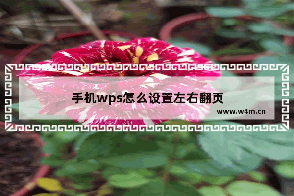 手机wps怎么设置左右翻页