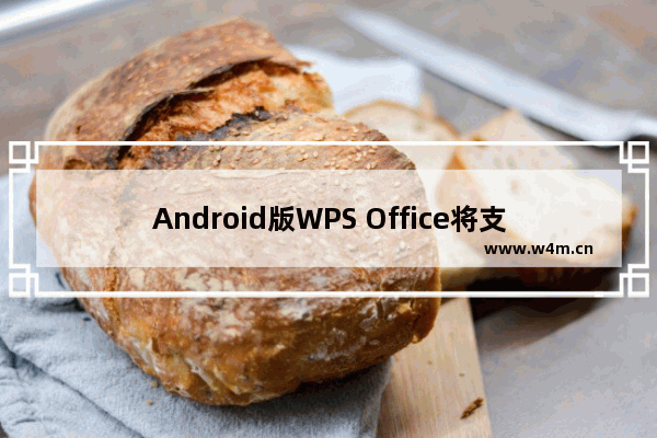 Android版WPS Office将支持金山词霸即时翻