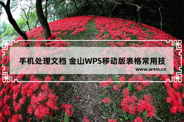 手机处理文档 金山WPS移动版表格常用技巧