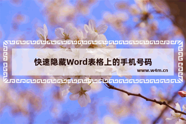 快速隐藏Word表格上的手机号码