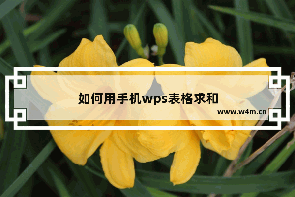 如何用手机wps表格求和