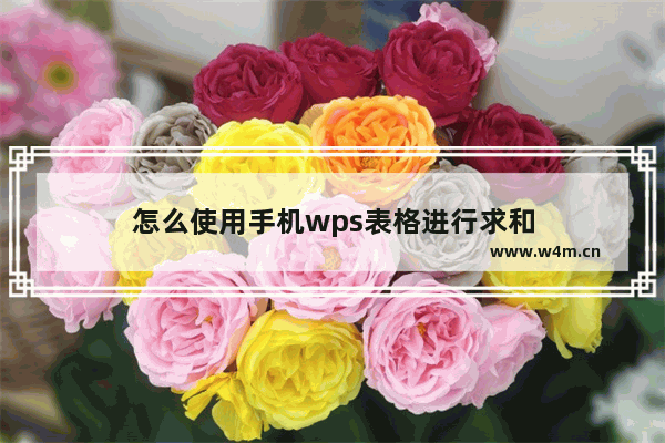 怎么使用手机wps表格进行求和