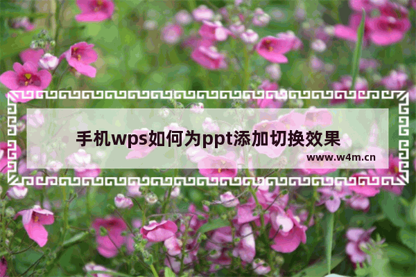 手机wps如何为ppt添加切换效果