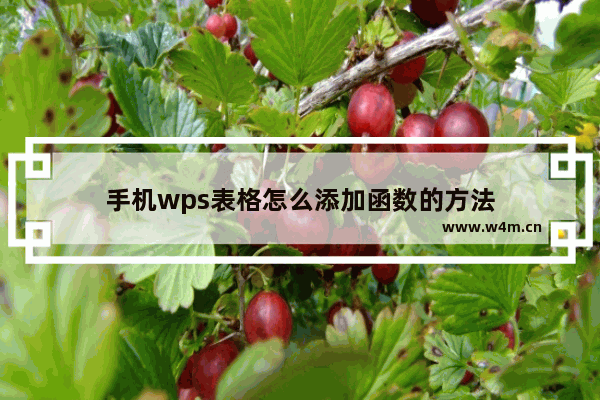 手机wps表格怎么添加函数的方法