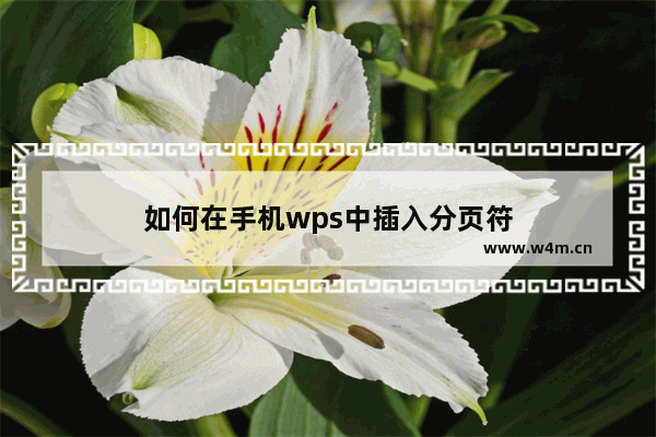 如何在手机wps中插入分页符