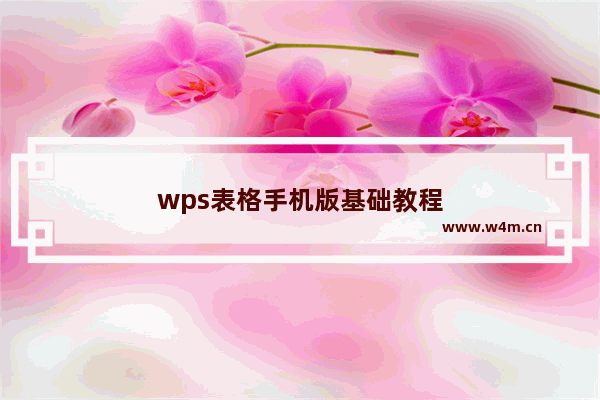 wps表格手机版基础教程