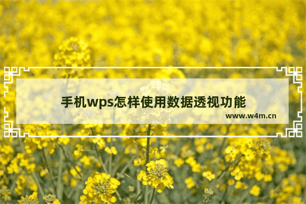 手机wps怎样使用数据透视功能