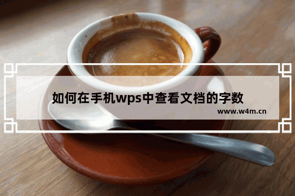 如何在手机wps中查看文档的字数