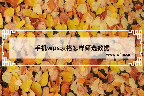 手机wps表格怎样筛选数据