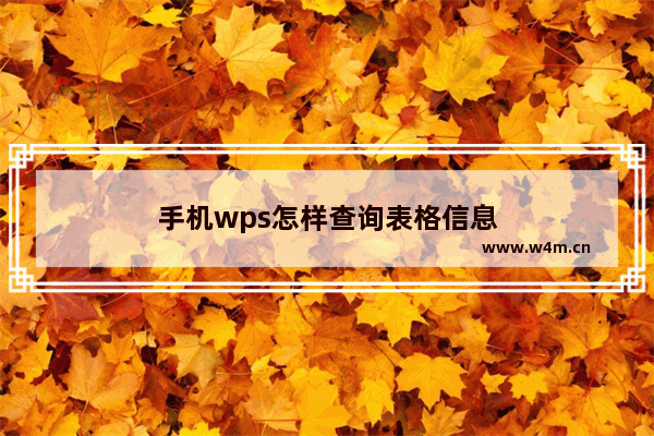 手机wps怎样查询表格信息