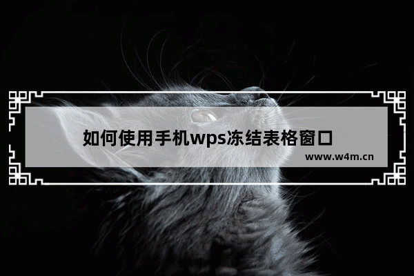 如何使用手机wps冻结表格窗口