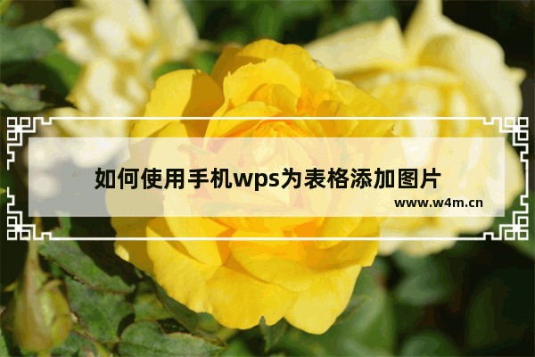 如何使用手机wps为表格添加图片