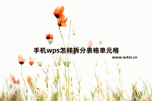 手机wps怎样拆分表格单元格