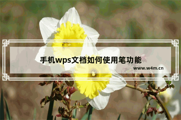 手机wps文档如何使用笔功能