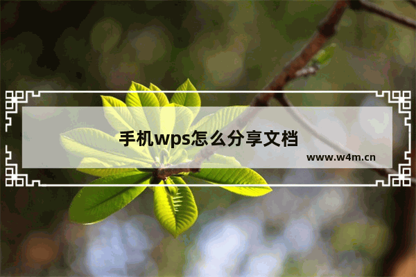 手机wps怎么分享文档