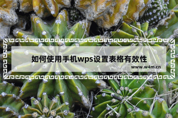 如何使用手机wps设置表格有效性