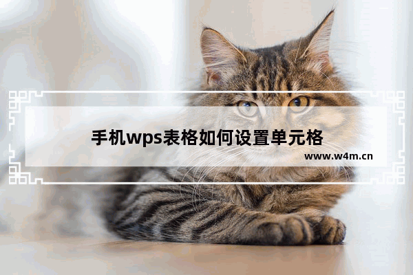 手机wps表格如何设置单元格