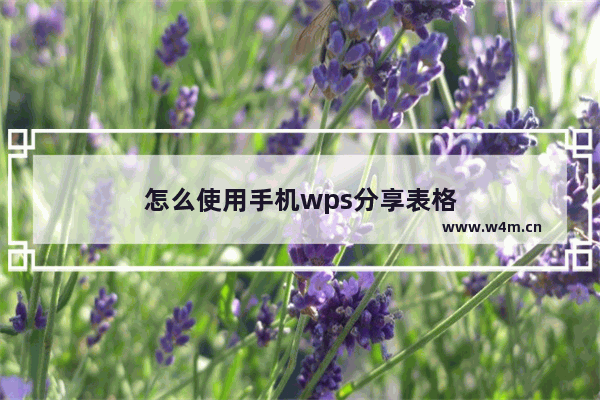 怎么使用手机wps分享表格