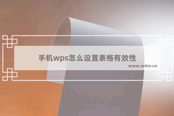 手机wps怎么设置表格有效性