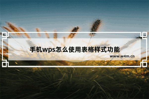 手机wps怎么使用表格样式功能