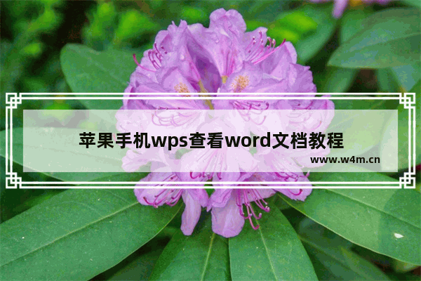 苹果手机wps查看word文档教程