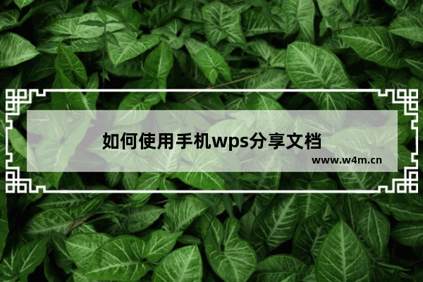 如何使用手机wps分享文档