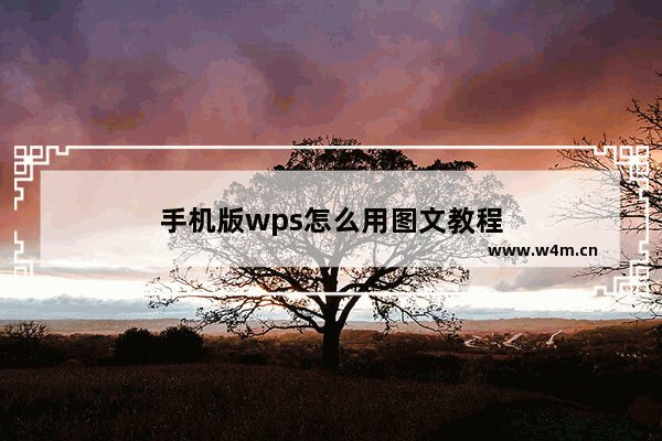 手机版wps怎么用图文教程