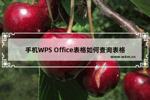 手机WPS Office表格如何查询表格信息