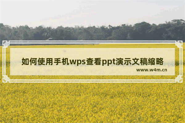 如何使用手机wps查看ppt演示文稿缩略图