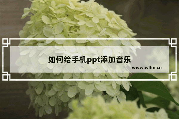 如何给手机ppt添加音乐