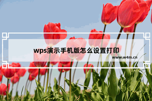 wps演示手机版怎么设置打印