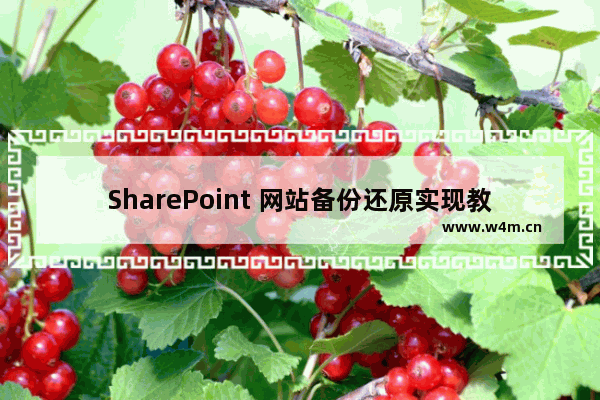 SharePoint 网站备份还原实现教程