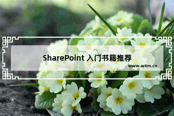 SharePoint 入门书籍推荐