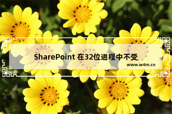 SharePoint 在32位进程中不受支持 新增web项目IIS Express的64位版