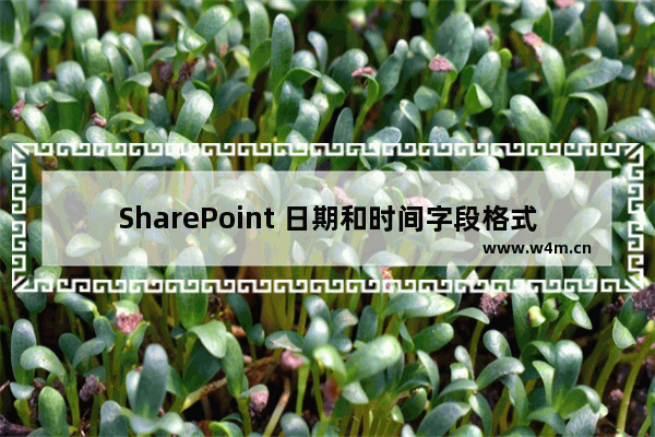 SharePoint 日期和时间字段格式设置实例教程