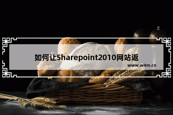 如何让Sharepoint2010网站返回详细错误信息