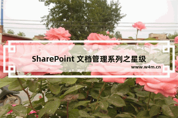 SharePoint 文档管理系列之星级评论功能