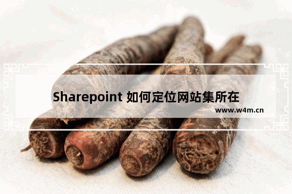 Sharepoint 如何定位网站集所在的w3wp进程